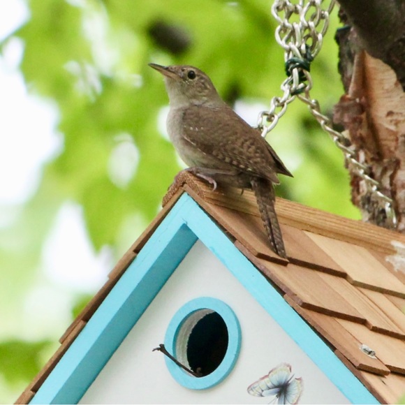 Meet your Posher, Sue - Picture 1 of 1